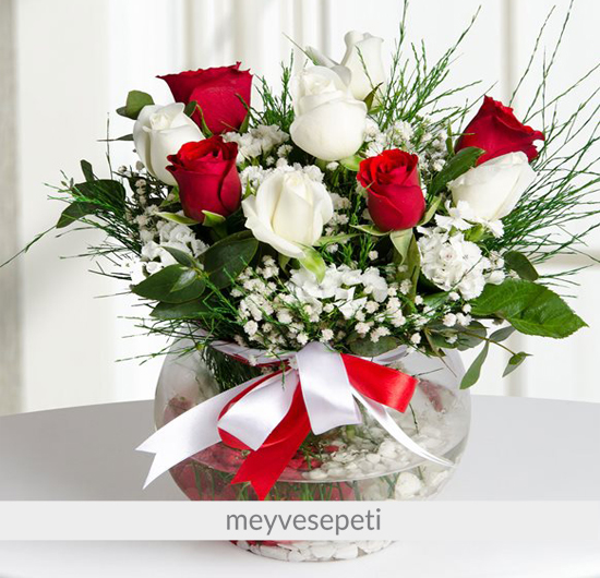 Aşk Küresi Kırmızı Beyaz Güller